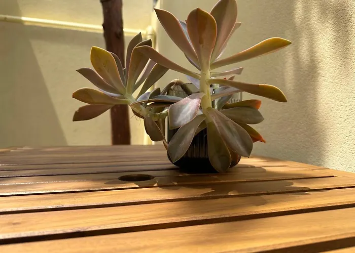 House Real Companhia 度假居